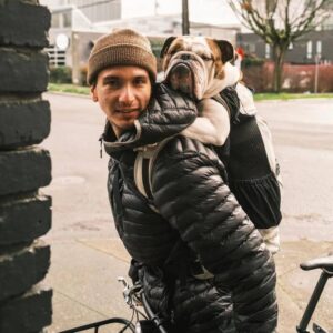 english bulldog shop english bulldog carrier