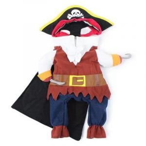 english bulldog shop pirate halloween costume