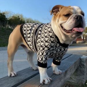 english bulldog shop christian dog sweater