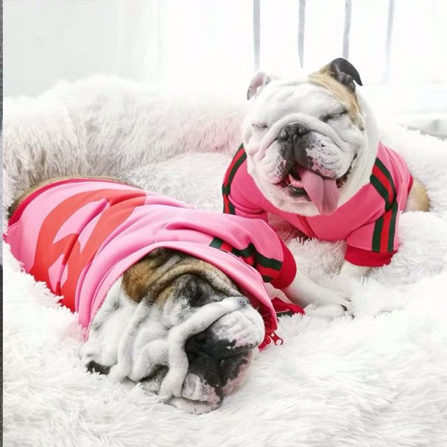 English Bulldog Pickles Hoodie