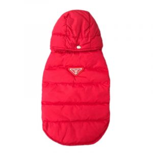 english bulldog shop pawda vest