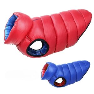 english bulldog reversible winter jacket