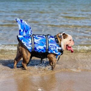 english bulldog shop camouflage english bulldog swimming vest
