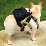 english bulldog backpack harness