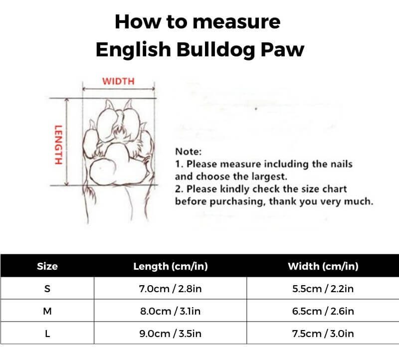 english bulldog shop reflective english bulldog shoes
