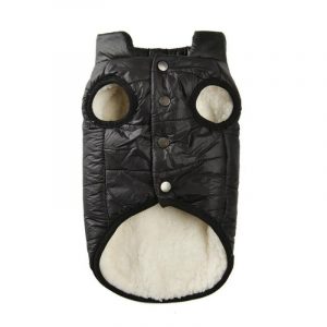 english bulldog winter vest
