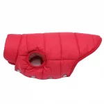 english bulldog winter vest