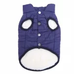 english bulldog winter vest