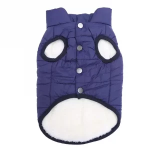 english bulldog winter vest
