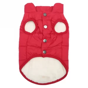 english bulldog winter vest