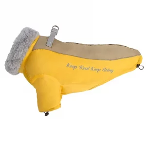 english bulldog shop fur collar english bulldog jacket