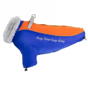 english bulldog shop fur collar english bulldog jacket