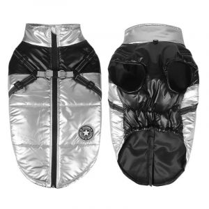 shiny english bulldog harness jacket