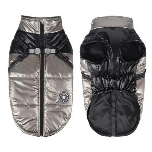 shiny english bulldog harness jacket