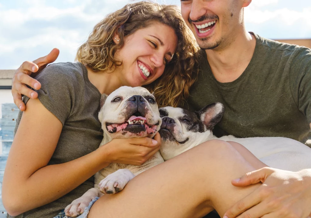 English bulldog shop Are English Bulldogs good with kids - guide for great interaction