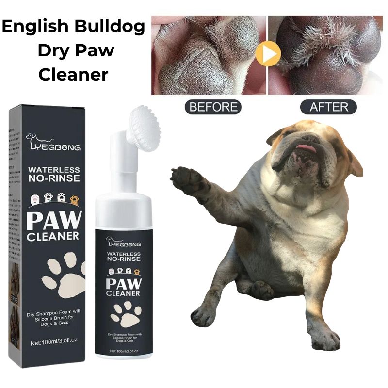 English Bulldog Dry Paw Cleaner