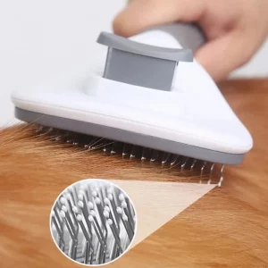 english bulldog shop self cleaning english bulldog brush