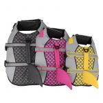 sharky english bulldog life jacket