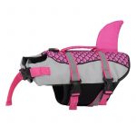 sharky english bulldog life jacket