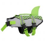 sharky english bulldog life jacket