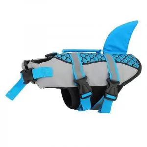 sharky english bulldog life jacket