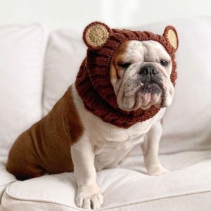 Bulldog outfits hotsell