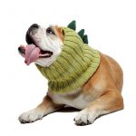 dino halloween bulldog hat