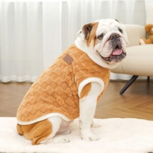 bulldog snuggle vest
