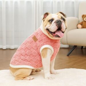 bulldog snuggle vest