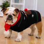 christmas english bulldog sweater