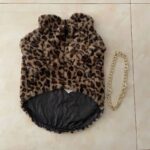 leopard english bulldog coat