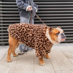leopard english bulldog coat