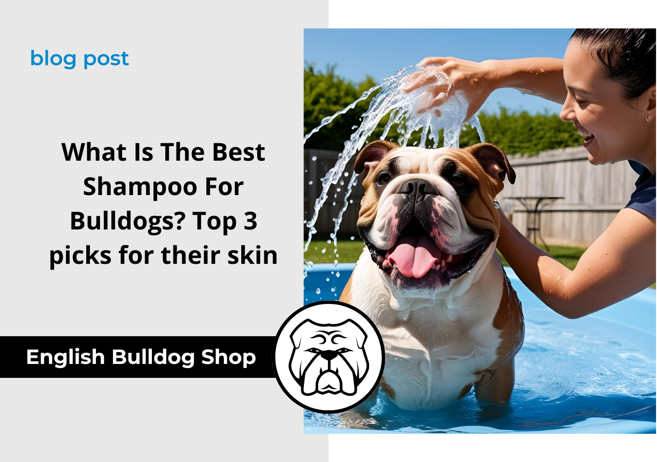 best shampoo for bulldogs english bulldog shop