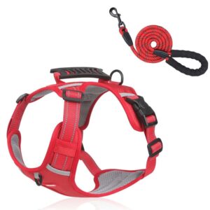 full-body english bulldog harness