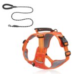 full-body english bulldog harness