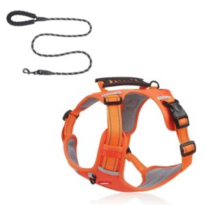 full-body english bulldog harness
