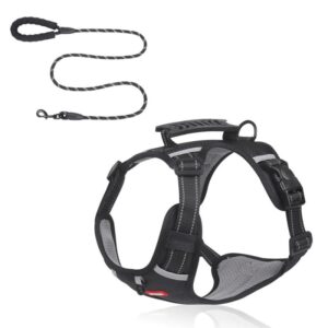 full-body english bulldog harness