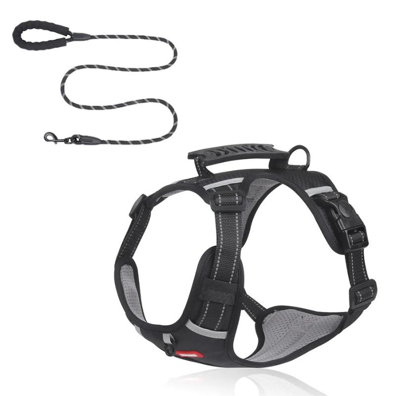 full-body english bulldog harness