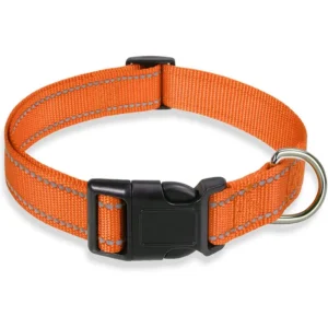 glow-go english bulldog collar