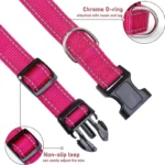 glow-go english bulldog collar