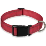glow-go english bulldog collar