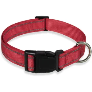 glow-go english bulldog collar