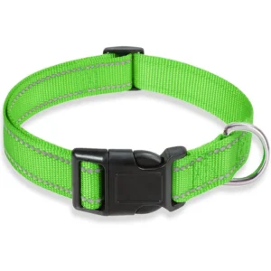 glow-go english bulldog collar