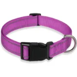 glow-go english bulldog collar
