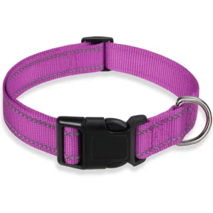 glow-go english bulldog collar