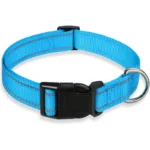 glow-go english bulldog collar