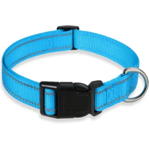 glow-go english bulldog collar