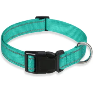glow-go english bulldog collar