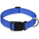 glow-go english bulldog collar
