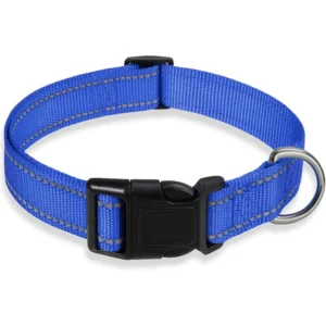 glow-go english bulldog collar